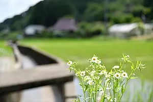 Rawスイーツ厨や-kuriya